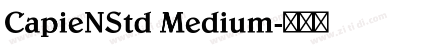 CapieNStd Medium字体转换